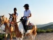 At Binme Turu